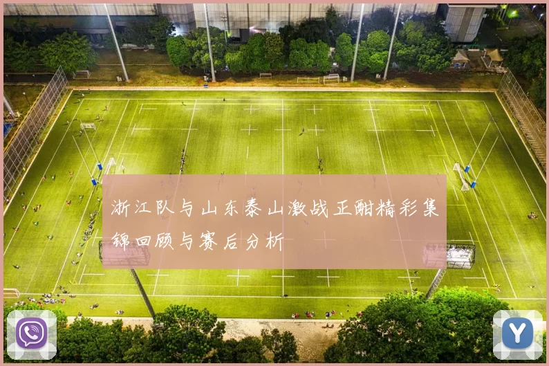 浙江队与山东泰山激战正酣精彩集锦回顾与赛后分析