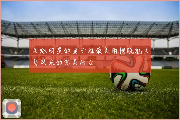 足球明星的妻子谁最美丽揭晓魅力与风采的完美结合