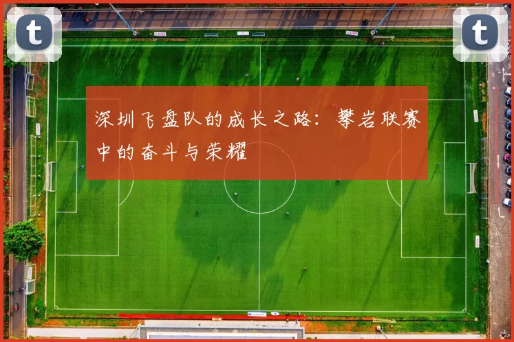 深圳飞盘队的成长之路：攀岩联赛中的奋斗与荣耀