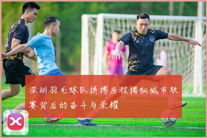 深圳羽毛球队拼搏历程揭秘城市联赛背后的奋斗与荣耀