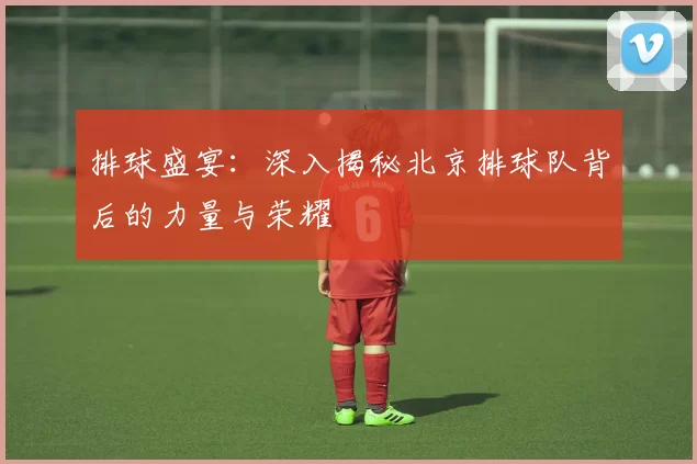 排球盛宴：深入揭秘北京排球队背后的力量与荣耀