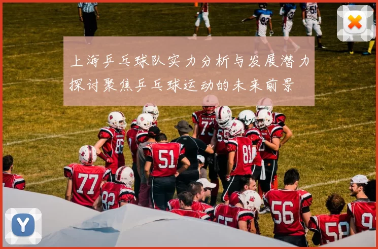 上海乒乓球队实力分析与发展潜力探讨聚焦乒乓球运动的未来前景