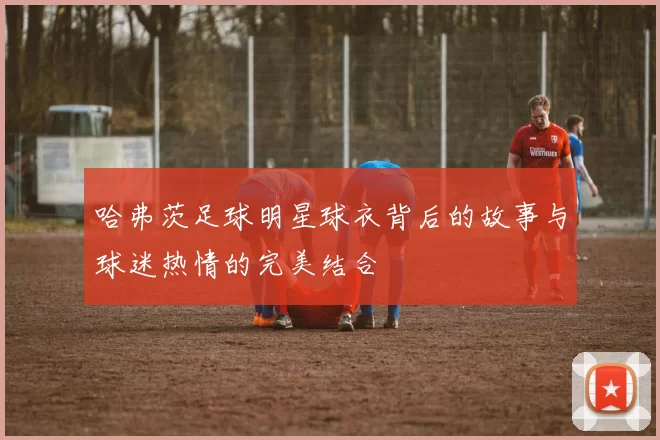 哈弗茨足球明星球衣背后的故事与球迷热情的完美结合
