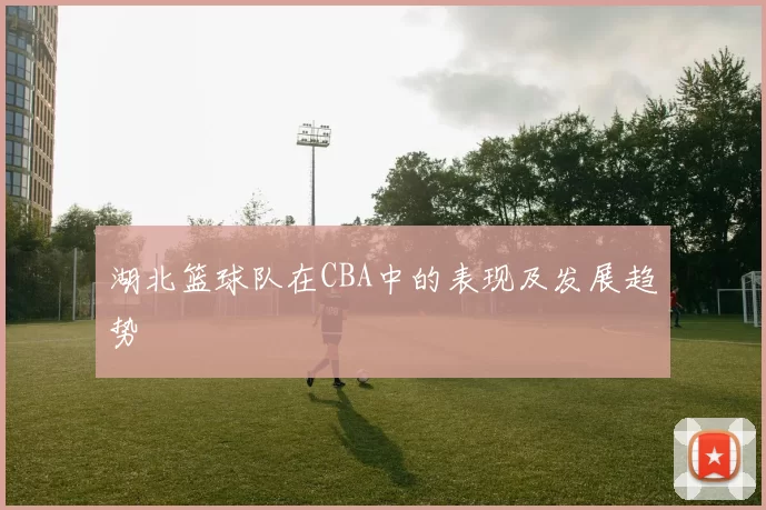 湖北篮球队在CBA中的表现及发展趋势