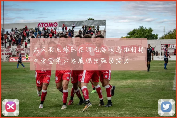 武汉羽毛球队在羽毛球状态排行榜中荣登第六名展现出强劲实力