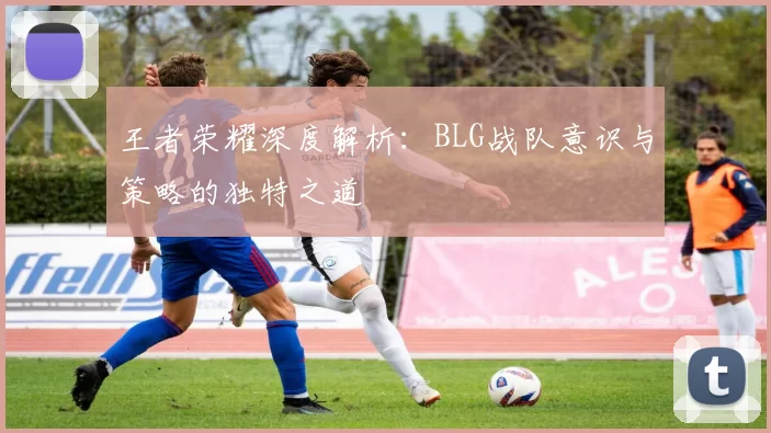 王者荣耀深度解析：BLG战队意识与策略的独特之道
