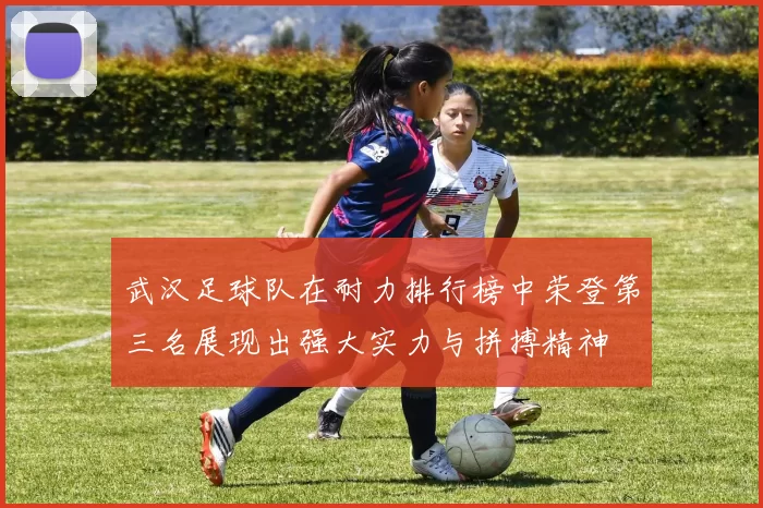 武汉足球队在耐力排行榜中荣登第三名展现出强大实力与拼搏精神